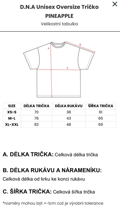 D.N.A Unisex Oversize Tričko PINEAPPLE